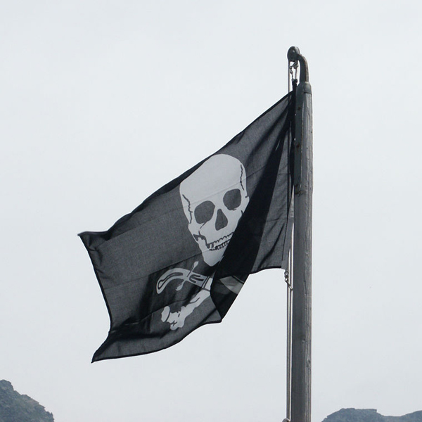 Pirate Bay,PirateBrowser,пиратство, Количество скачиваний с веб-браузера Pirate Bay достигло 1 миллиона